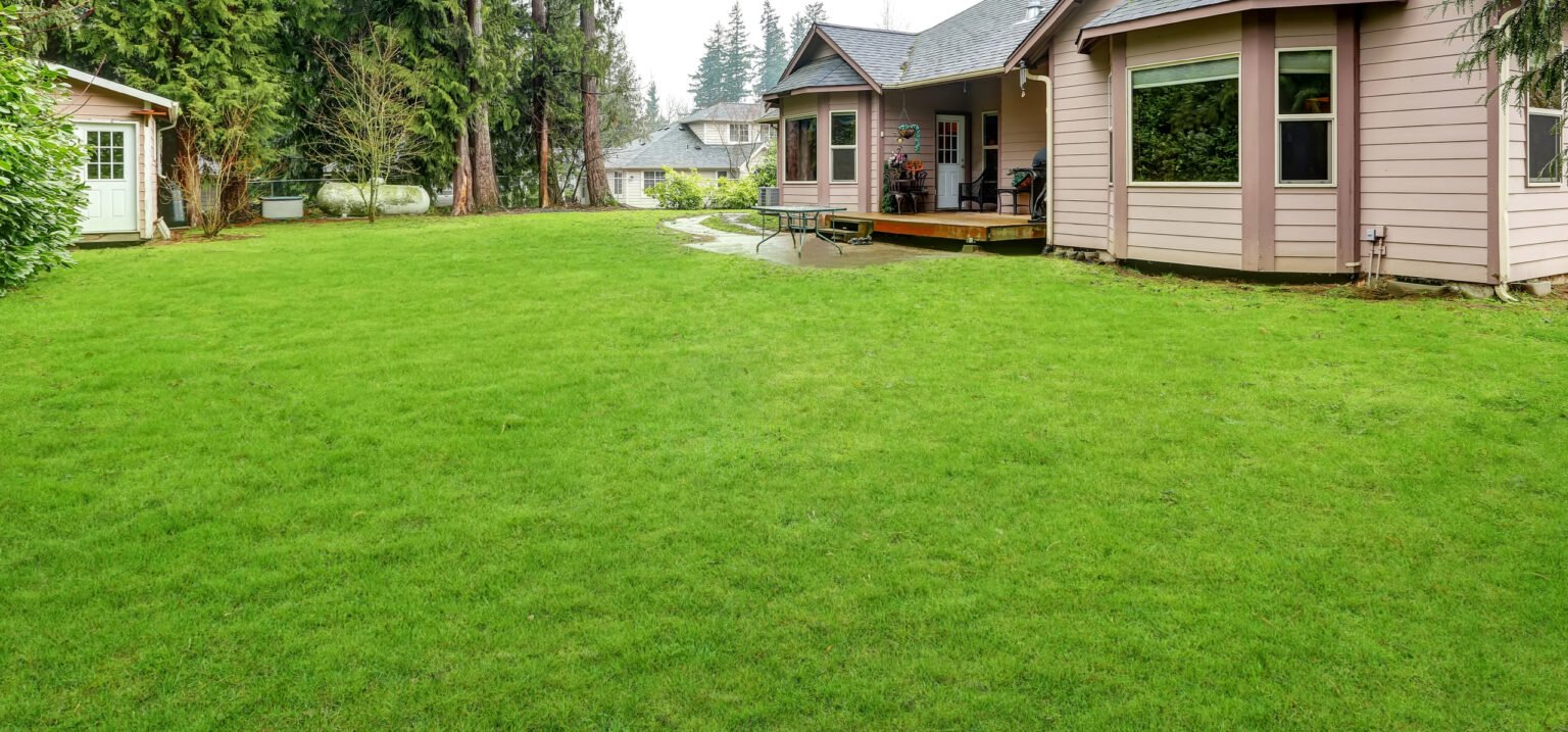Lawn care company in London